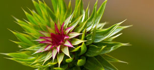 轰炸电话信息软件免费版